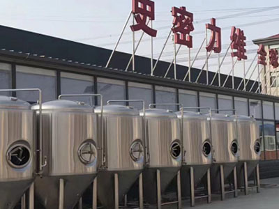 梁子湖精酿啤酒设备厂—市场规模与跨界新需求